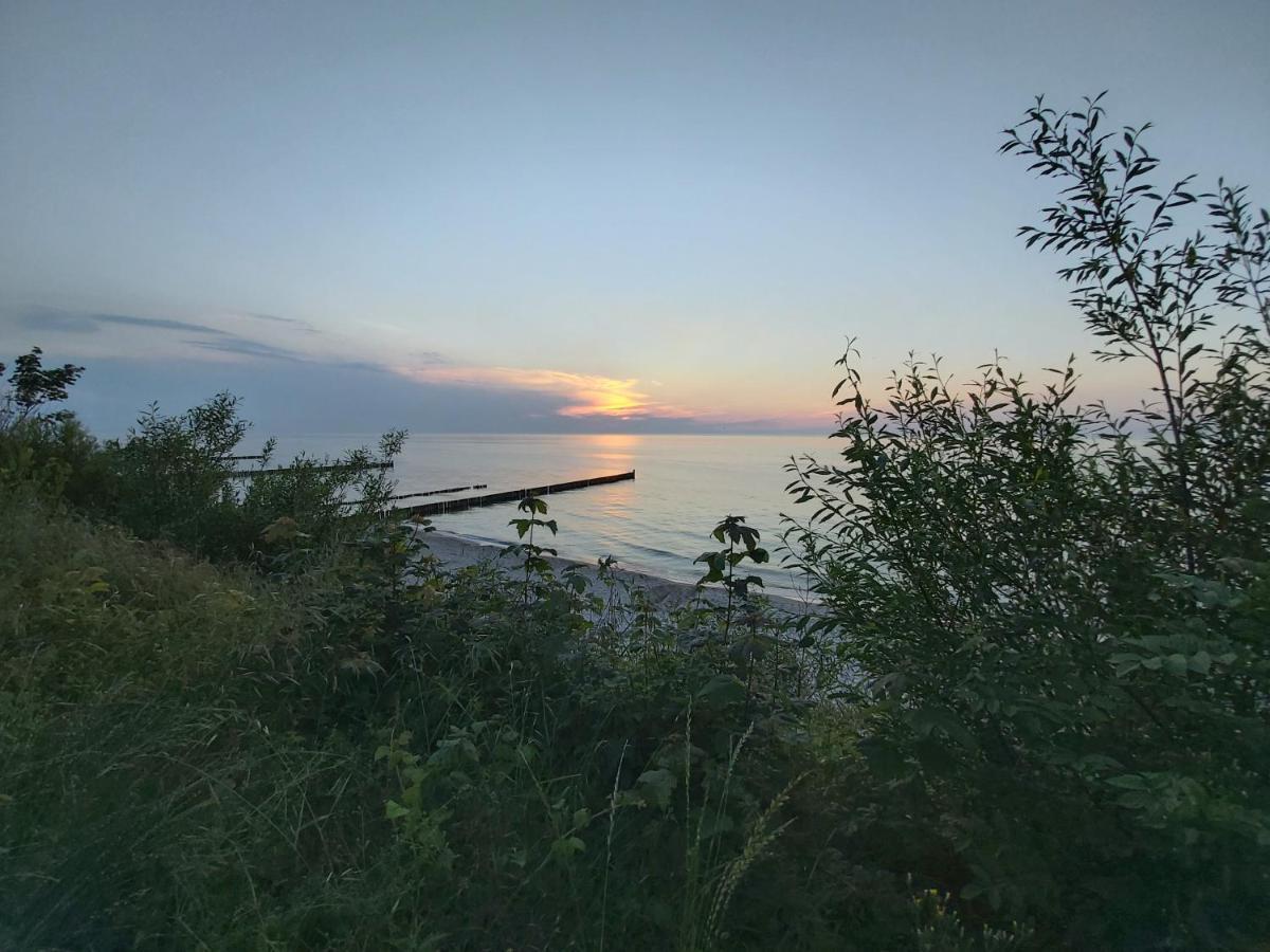 Willa Wieniotowo Apartamenty Przy Lesie I Plazy Ap Am Wald Und Strand Ustronie Morskie Exteriör bild