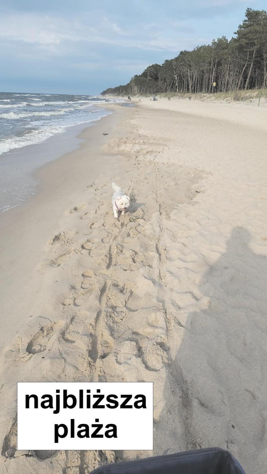 Willa Wieniotowo Apartamenty Przy Lesie I Plazy Ap Am Wald Und Strand Ustronie Morskie Exteriör bild
